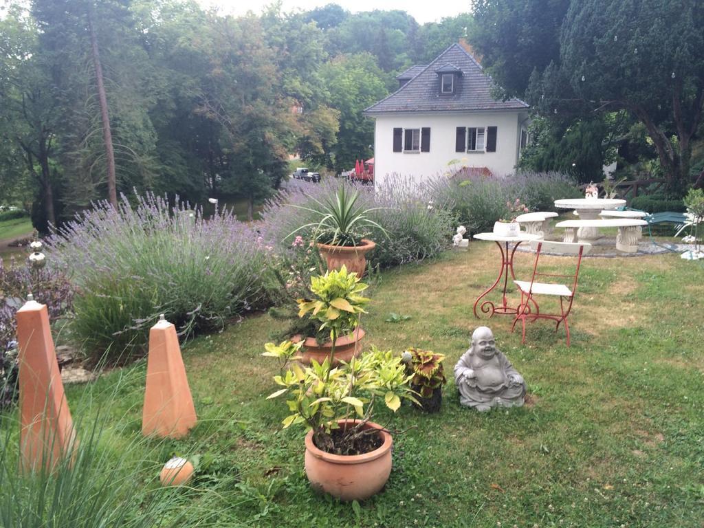 Traumparadies Bad Sulza Luaran gambar
